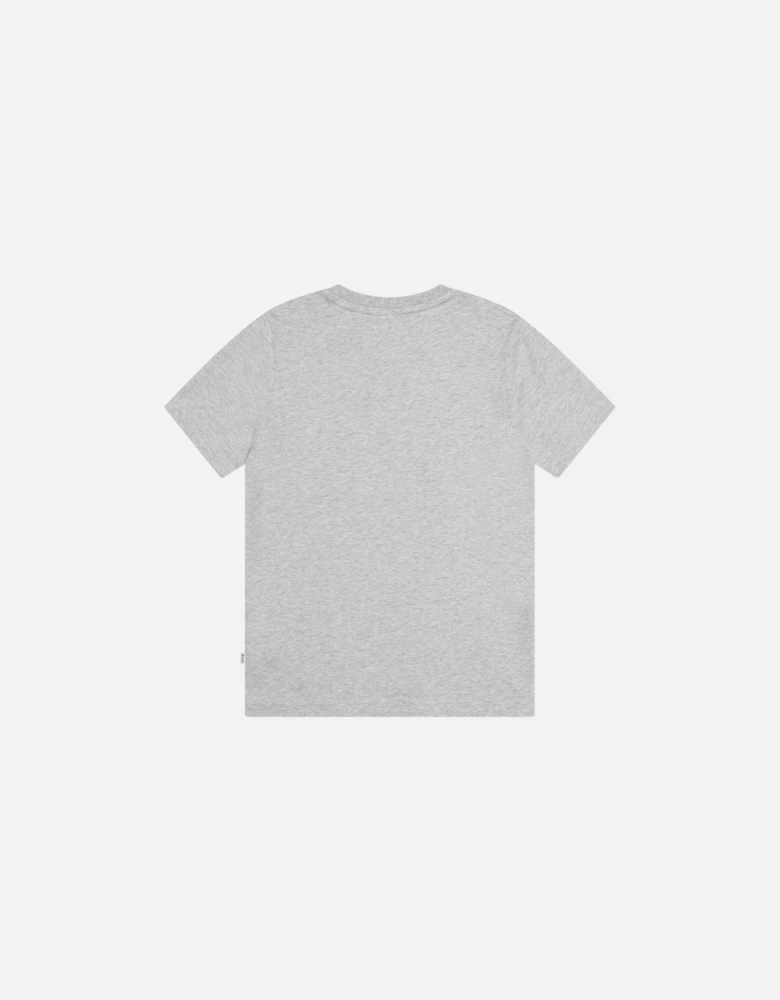Youths Fancy Logo T-Shirt (Grey)