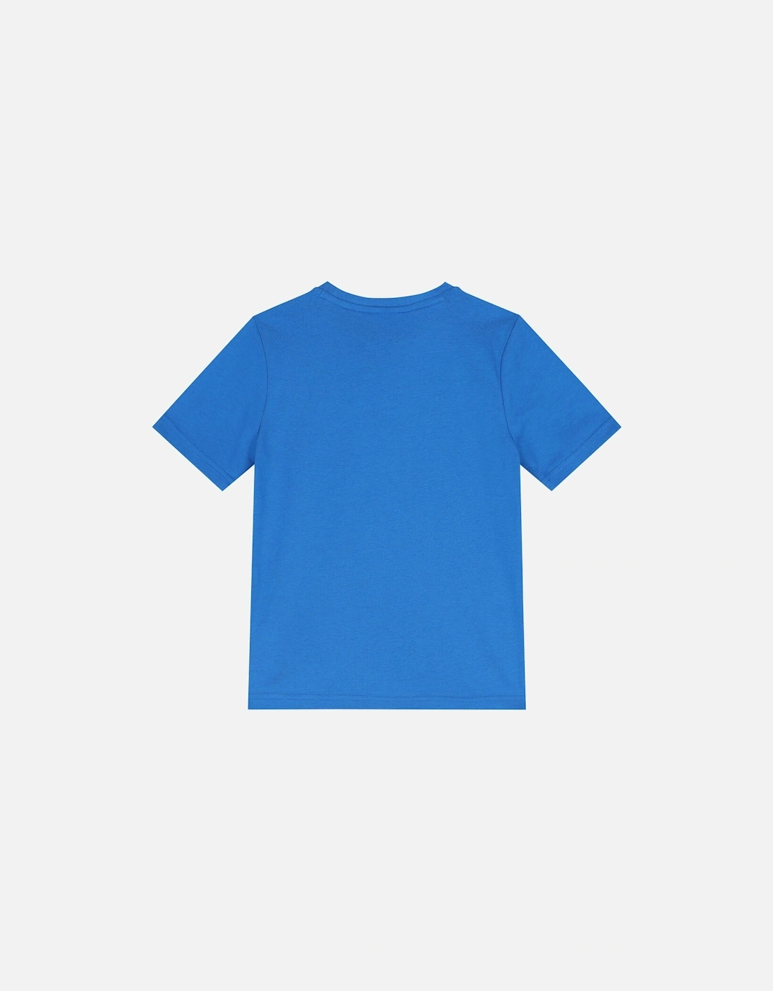 Youths Essential T-Shirt (Blue)