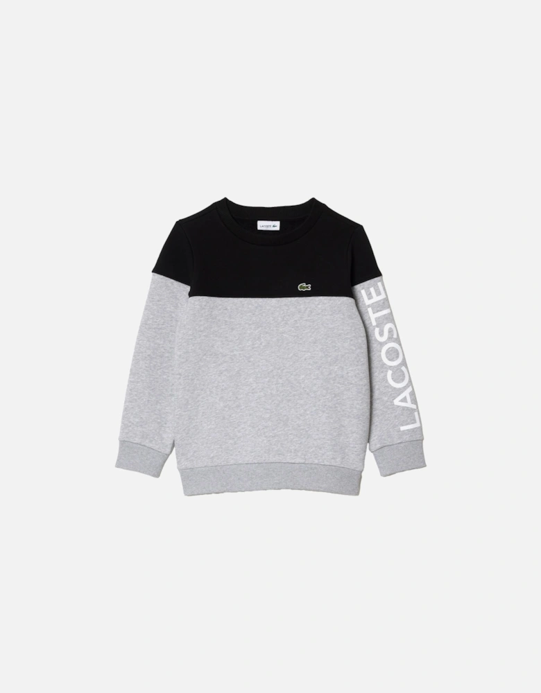 Juniors Colourblock Sweatshirt (Grey)