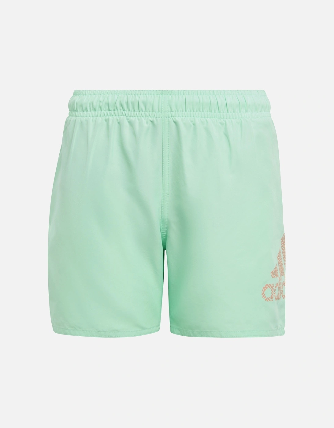 Juniors BOS Classic Swim Shorts (Green), 6 of 5