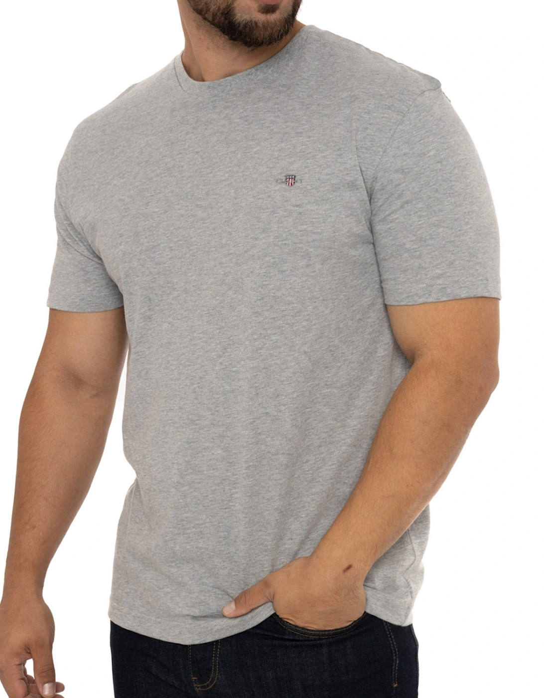 Mens Regular Shield T-Shirt (Grey)