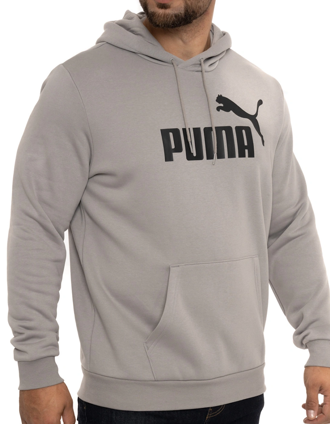 Mens Big Logo Hoodie (Grey)