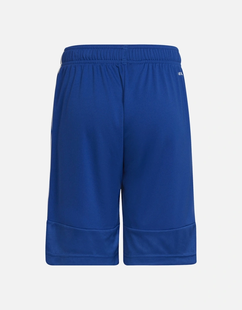 Juniors Sereno Shorts (Blue)