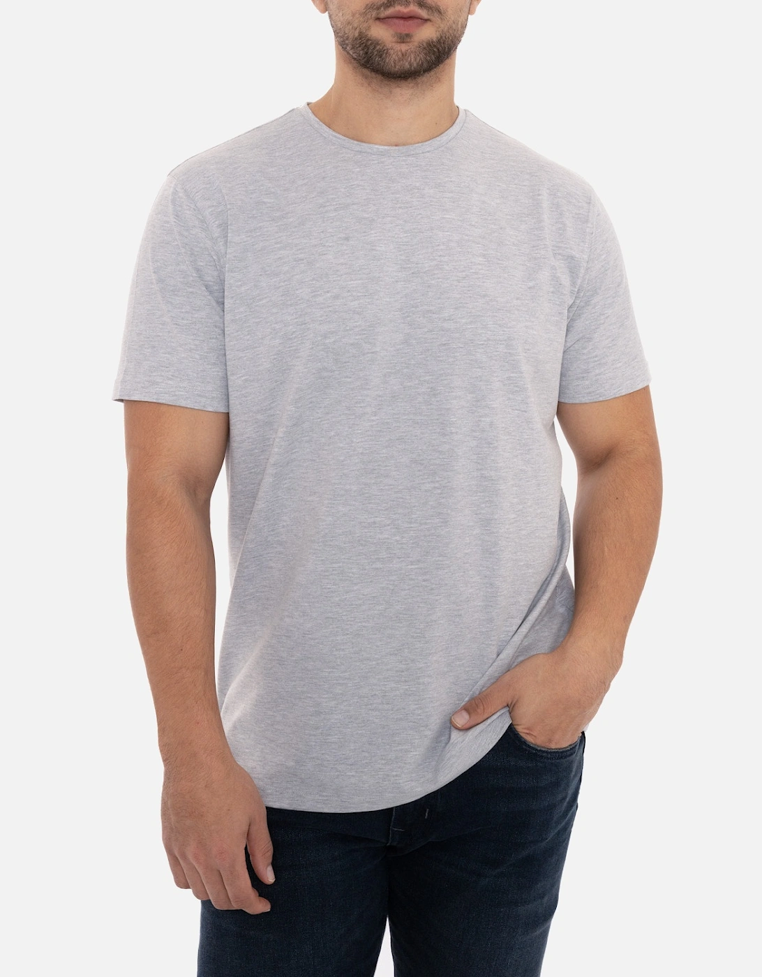 Remus Mens Plain Branded T-Shirt (Light Grey)
