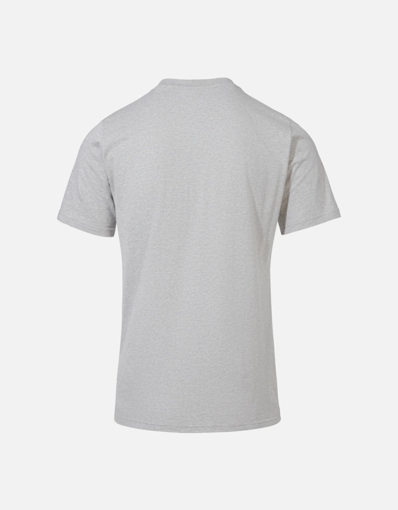 Mens Organic Classic Logo T-Shirt (Grey)