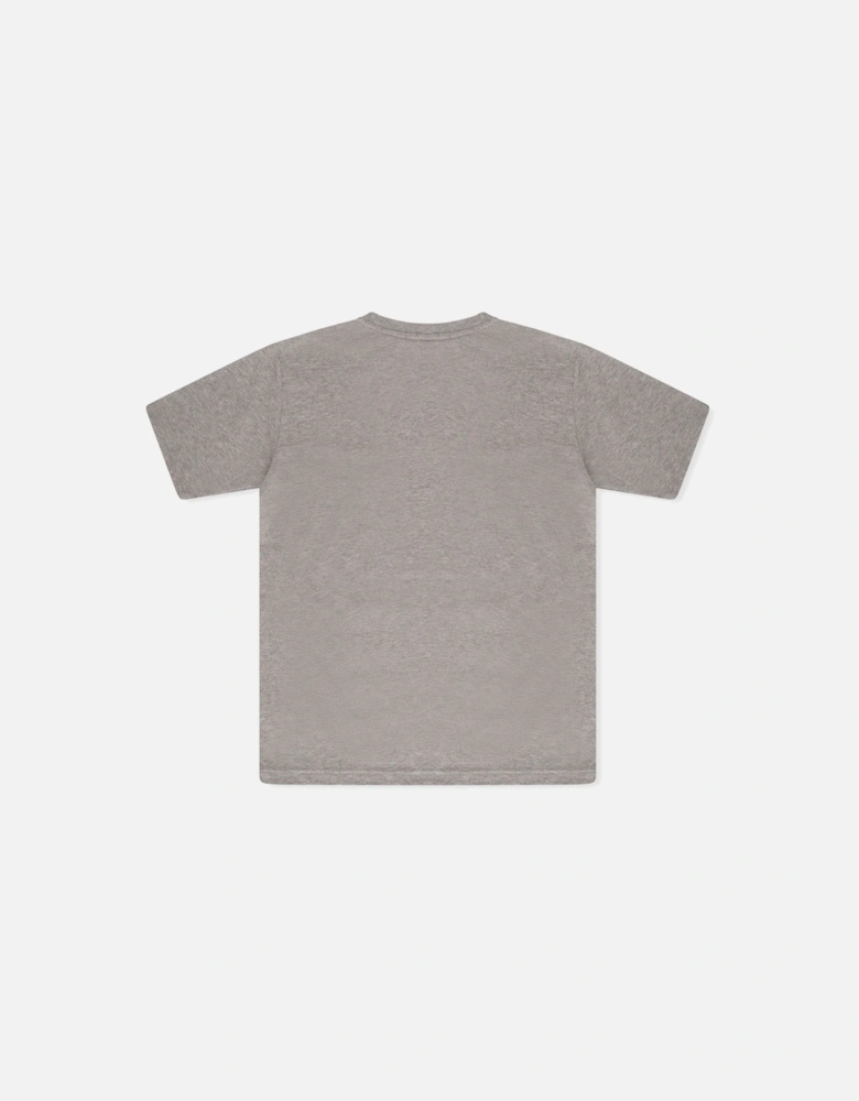 Junior SY2706 T-Shirt (Grey)