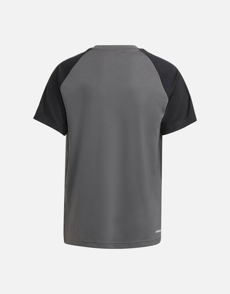 Youths Sereno Small Logo T-Shirt (Grey/Black)