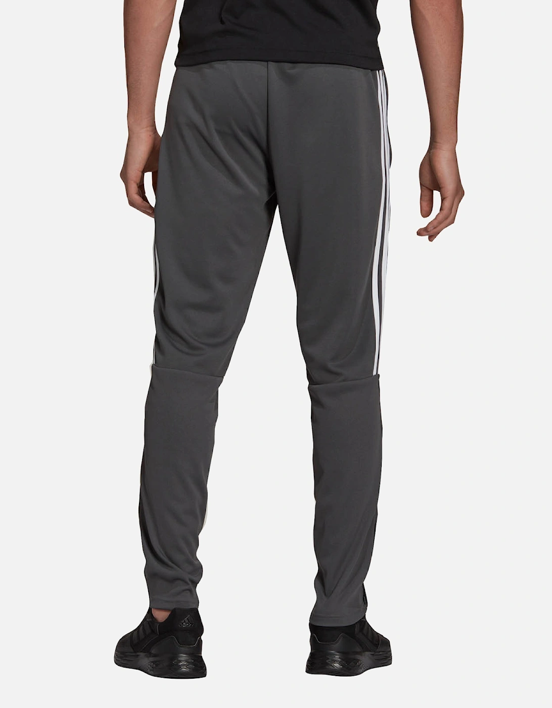 Mens Sereno Jogger Pants (Grey)