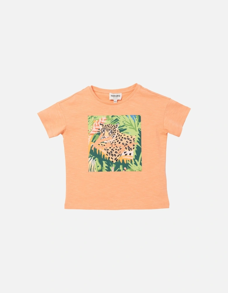 KIDS Juniors K15484 T-Shirt (Orange)