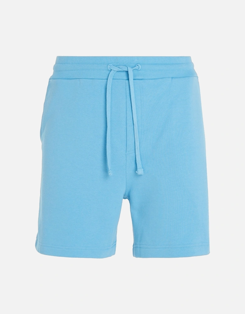 Mens Cargo Beach Shorts (Blue)