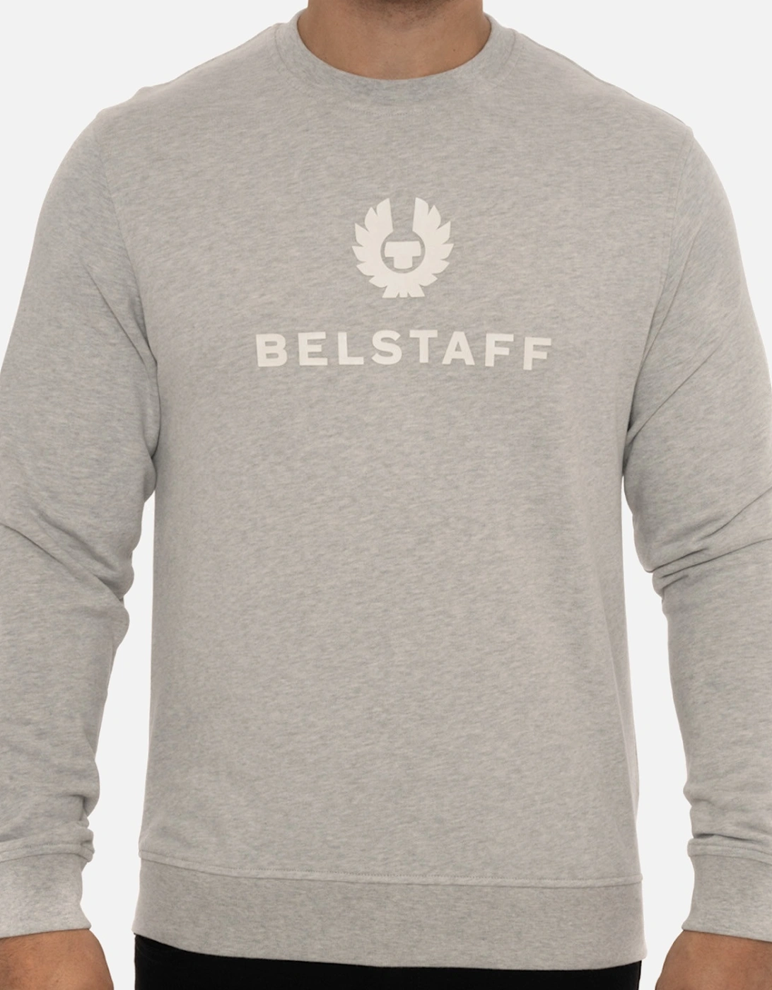 Mens Signature Sweatshirt (Grey), 8 of 7