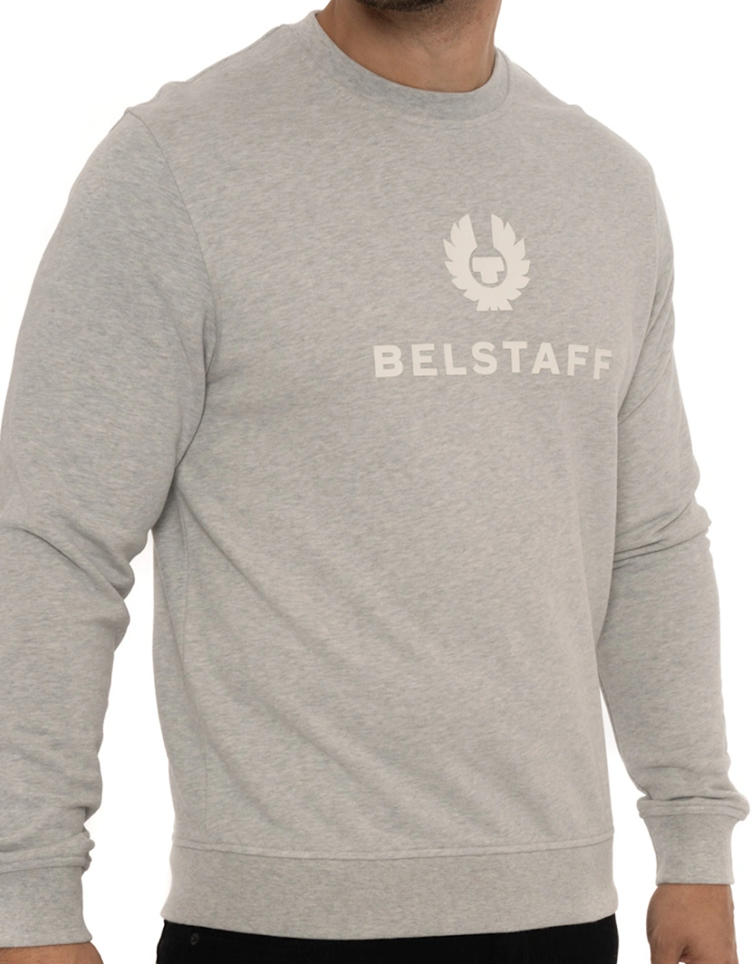 Mens Signature Sweatshirt (Grey)