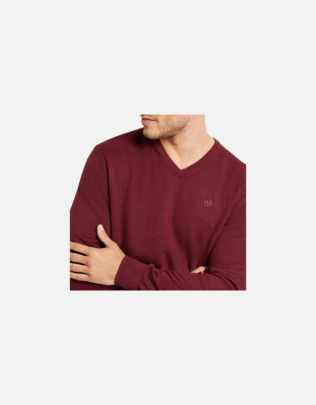 Mens Cotton Cashmere V Neck Sweatshirt (Wine)