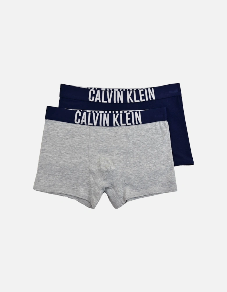 Juniors 2 Pack Boxer Shorts (Grey/Navy)