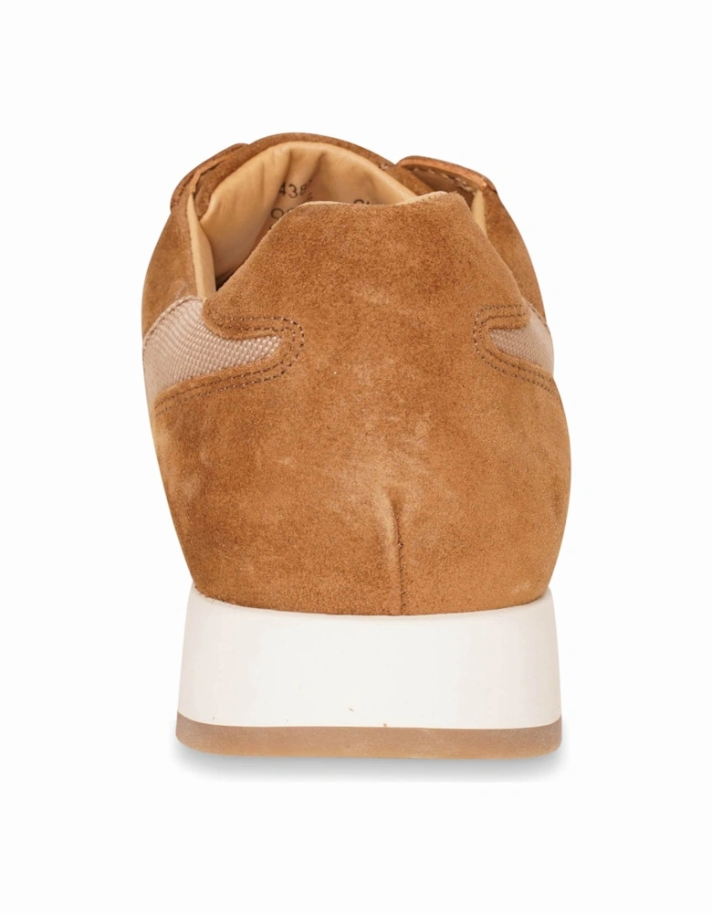 Mens Foster Suede Canvas Trainer (Tan)