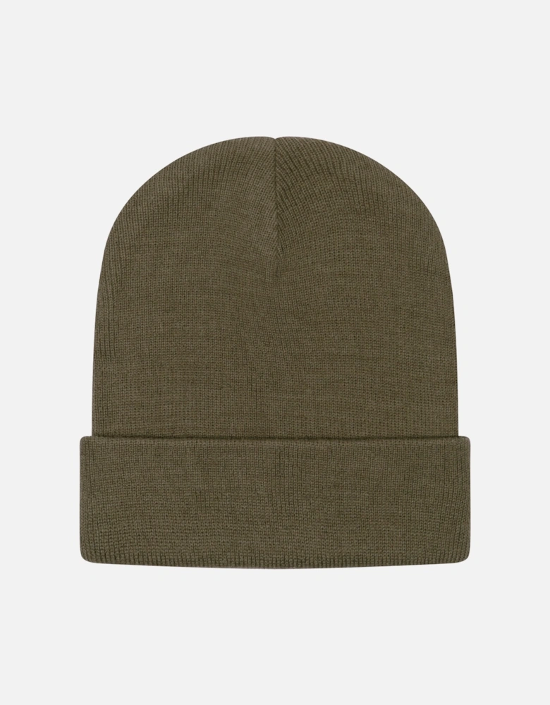 Mens Inflection Beanie (Ivy)