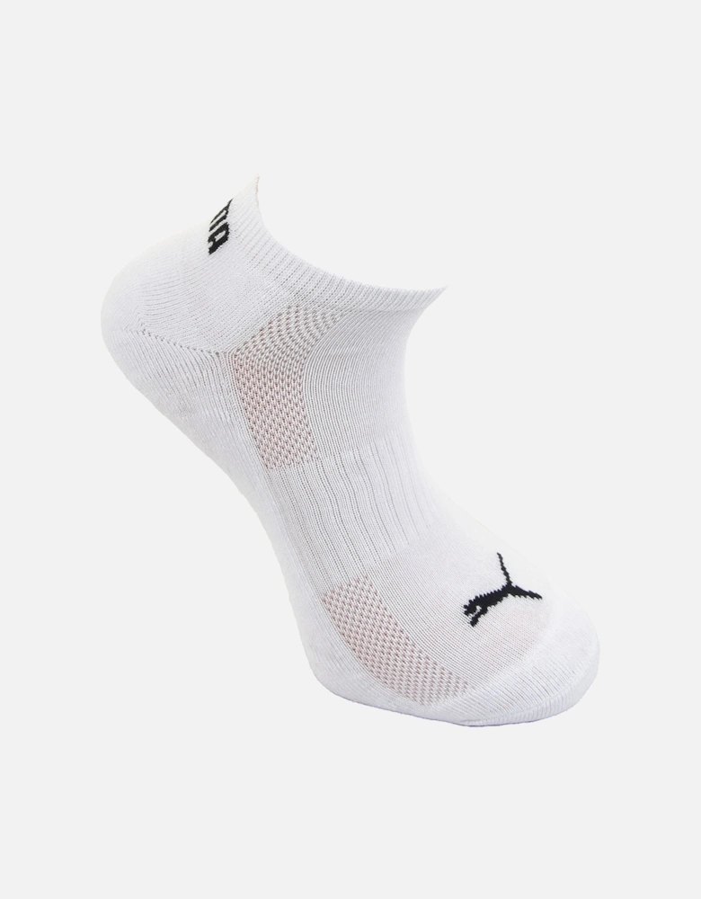 Mens Sneaker No Show Cushioned Socks (White)