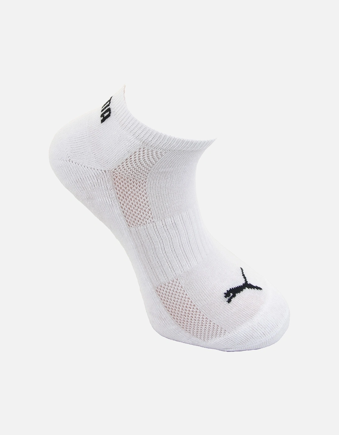Mens Sneaker No Show Cushioned Socks (White)