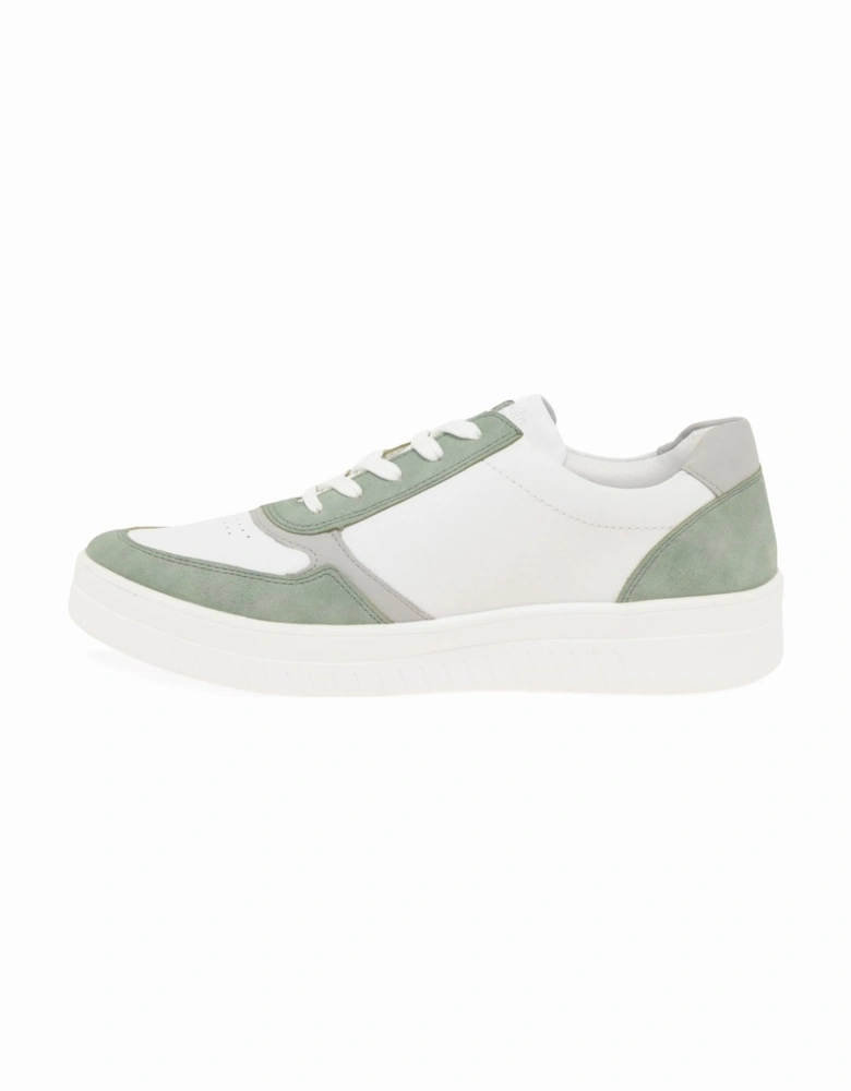 Sherbet Womens Trainers