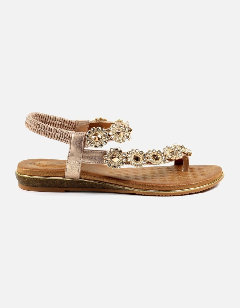 Charlotte II Womens Sandals