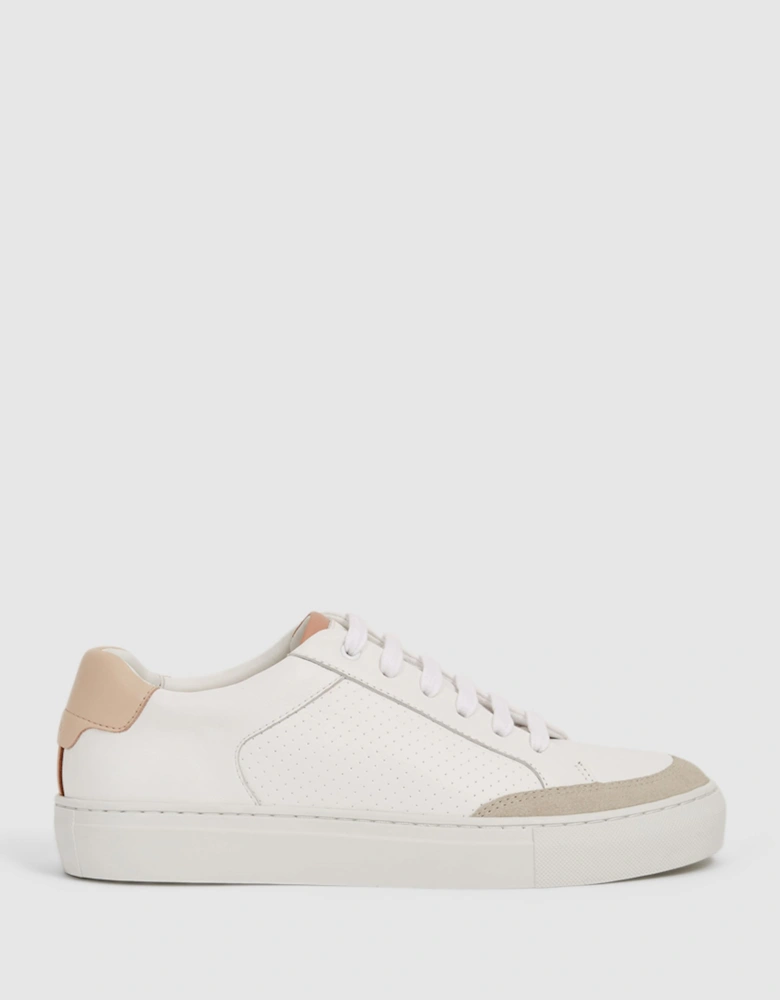 Leather Suede Low Top Trainers