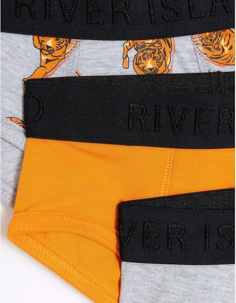 Mini Mini Boys Tiger Brief 6 Pack - Multi