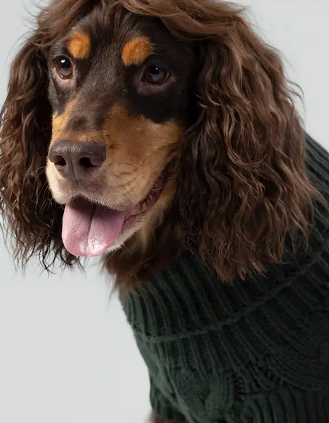 Hackett X Hugo Hudson Cable Knit Pullover Dog Jumper Green