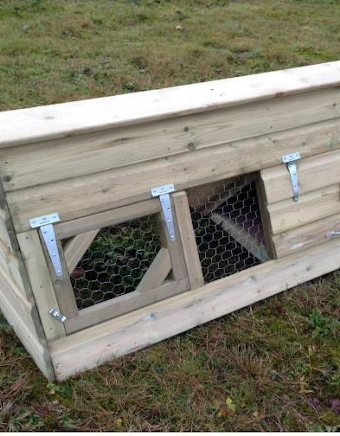 Starter Coop Small, 2 of 1