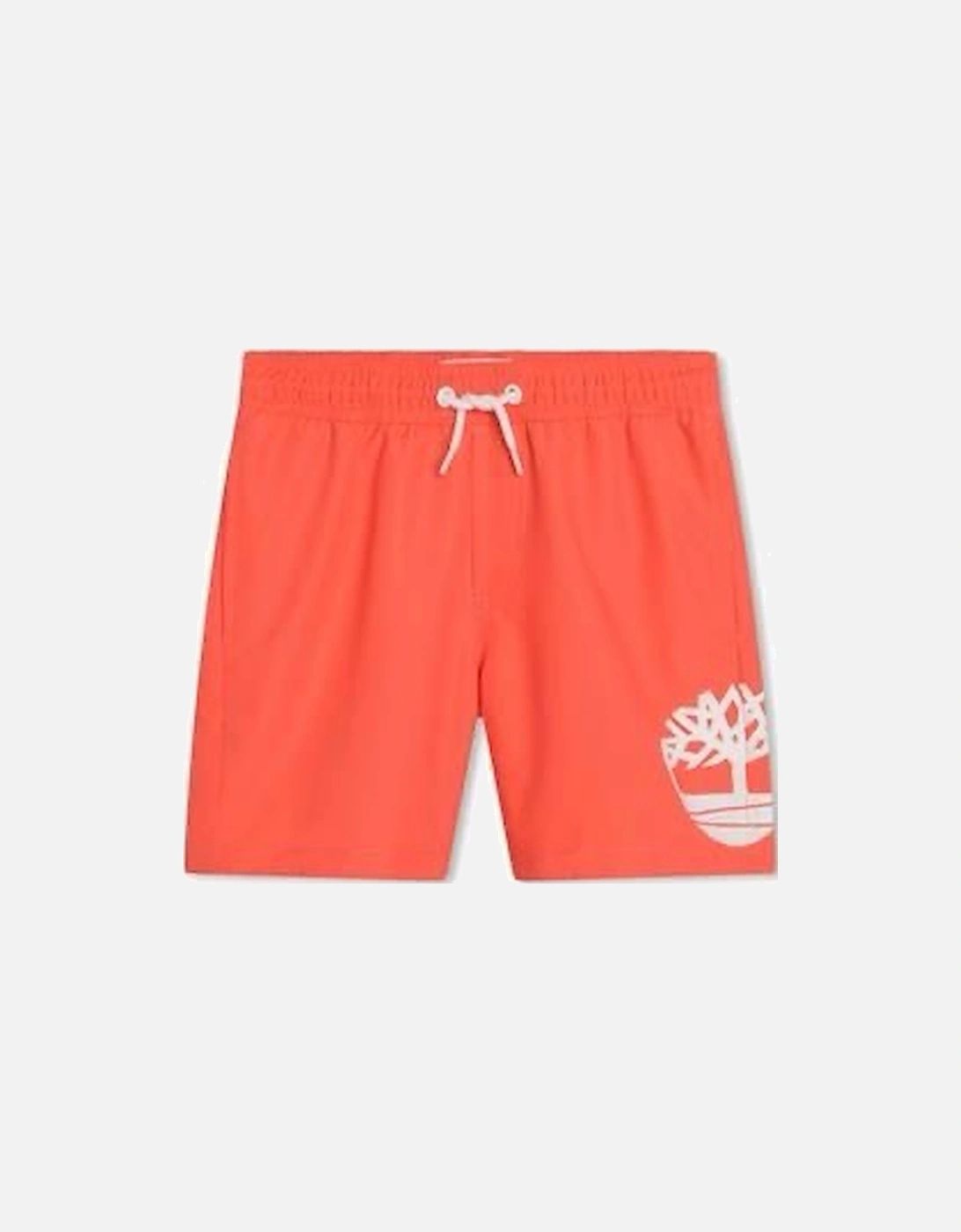 Boys Swim Shorts Set