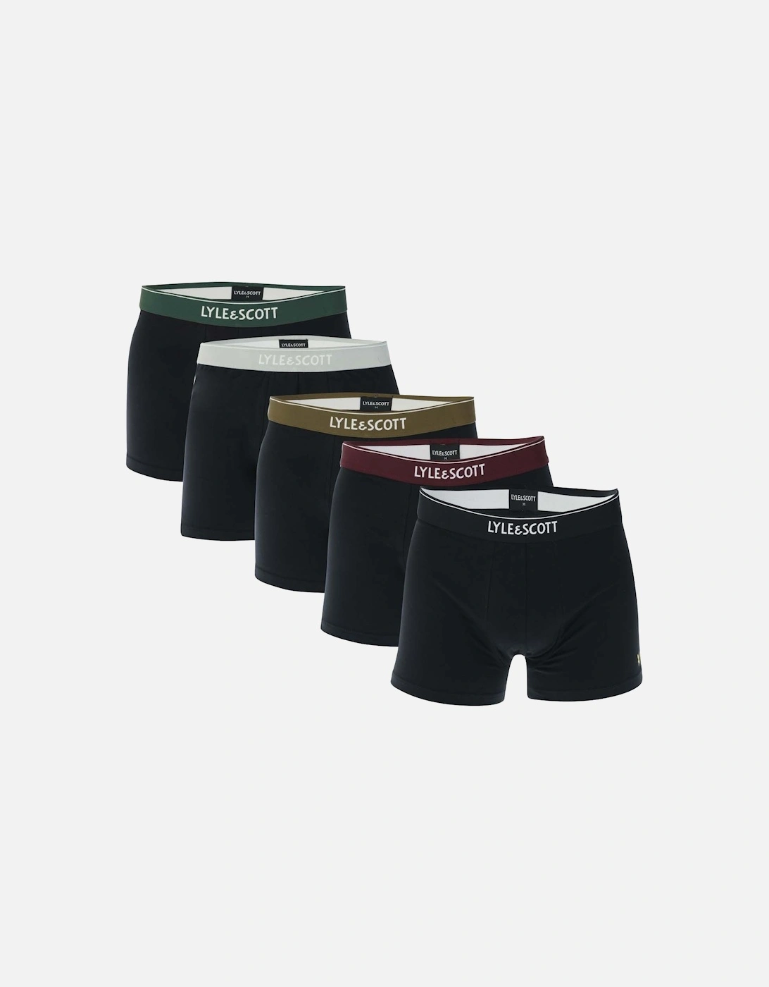 Mens Jackson 5 Pack Trunks