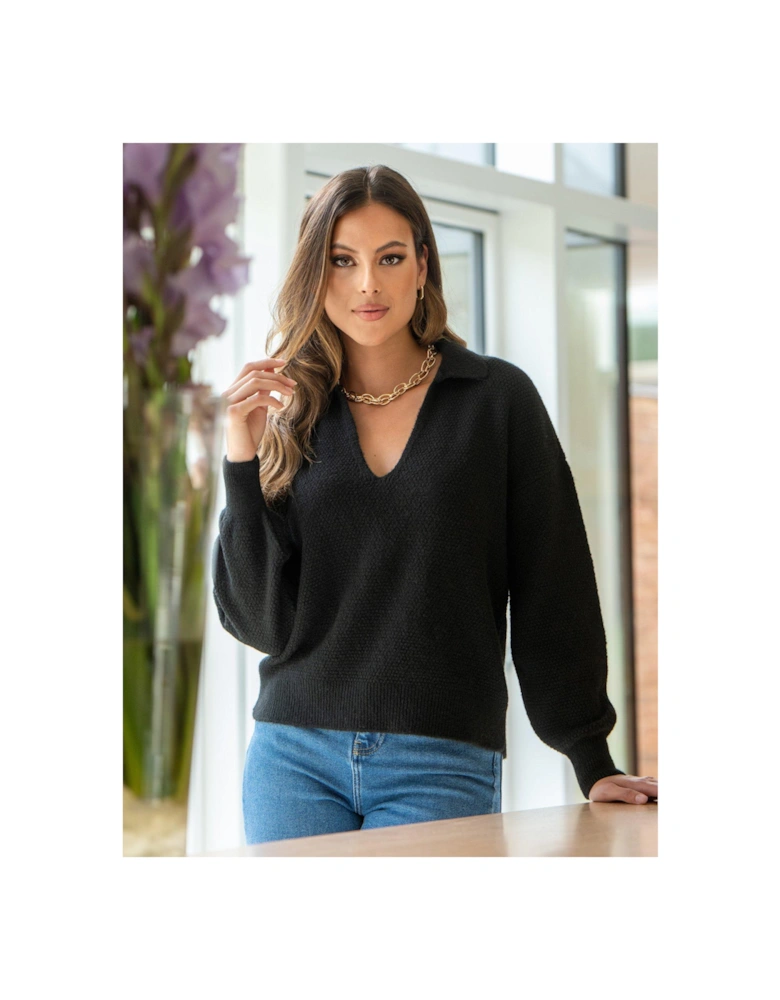 Kerry V-Neck Textured Knit Collared Jumper