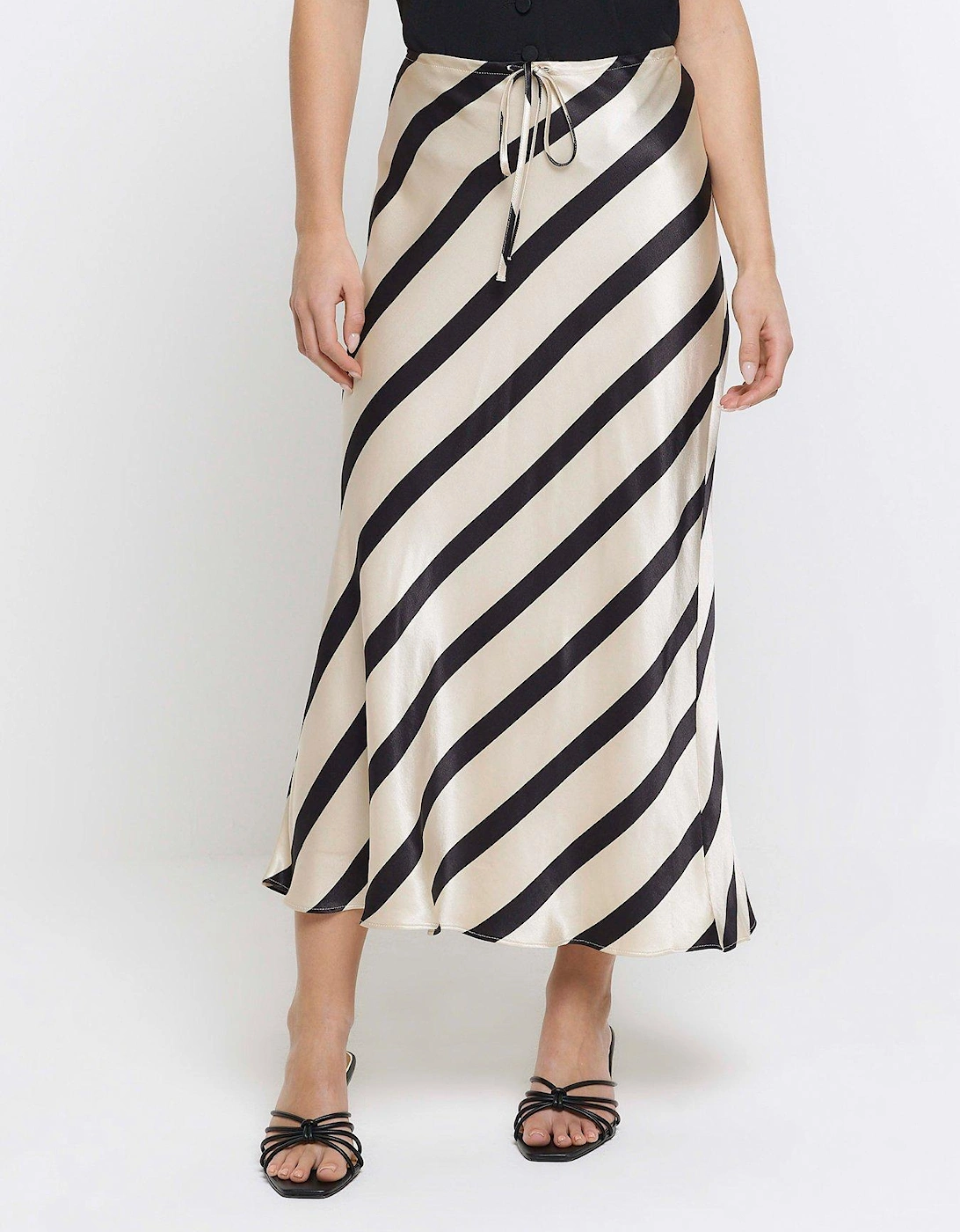 Petite Bias Cut Stripe Maxi Skirt - Black, 2 of 1