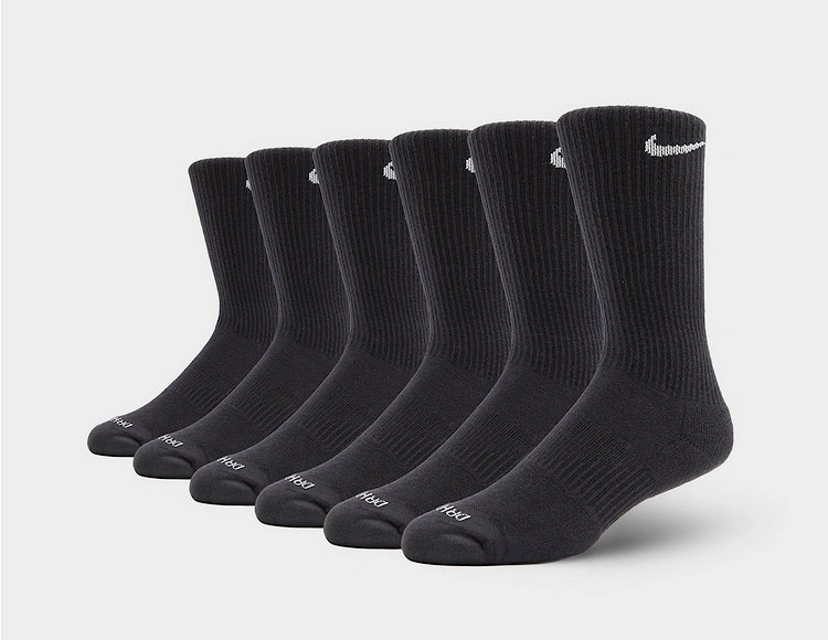 Everyday Plus Cushioned No Show Socks (6 Pack)
