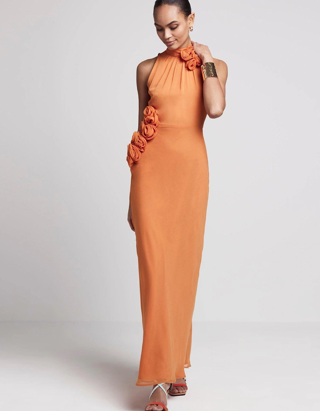 Corsage High Neck Maxi Dress - Rust, 5 of 4