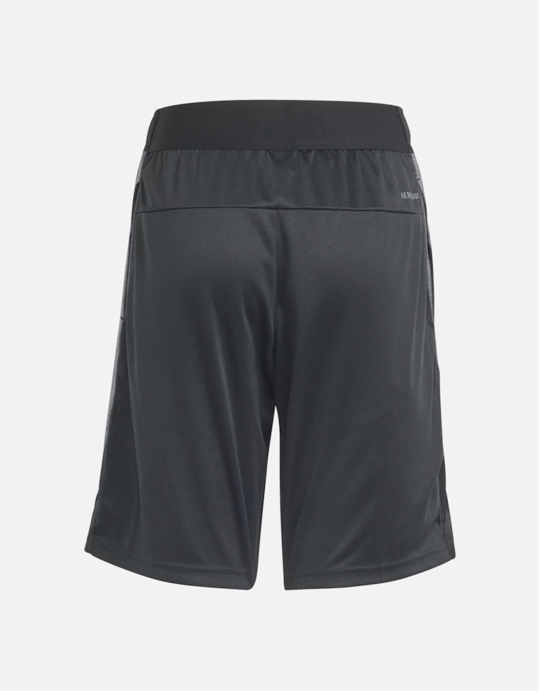 Juniors Heathered Shorts (Black/Grey)