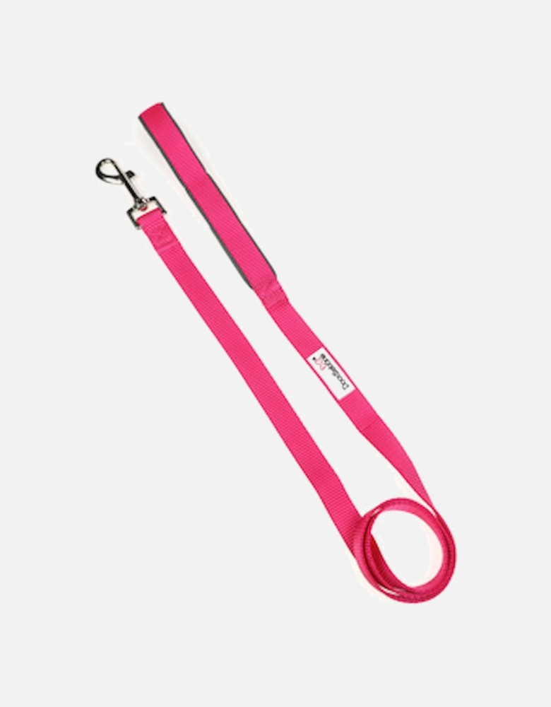 Original Lead Fuchsia