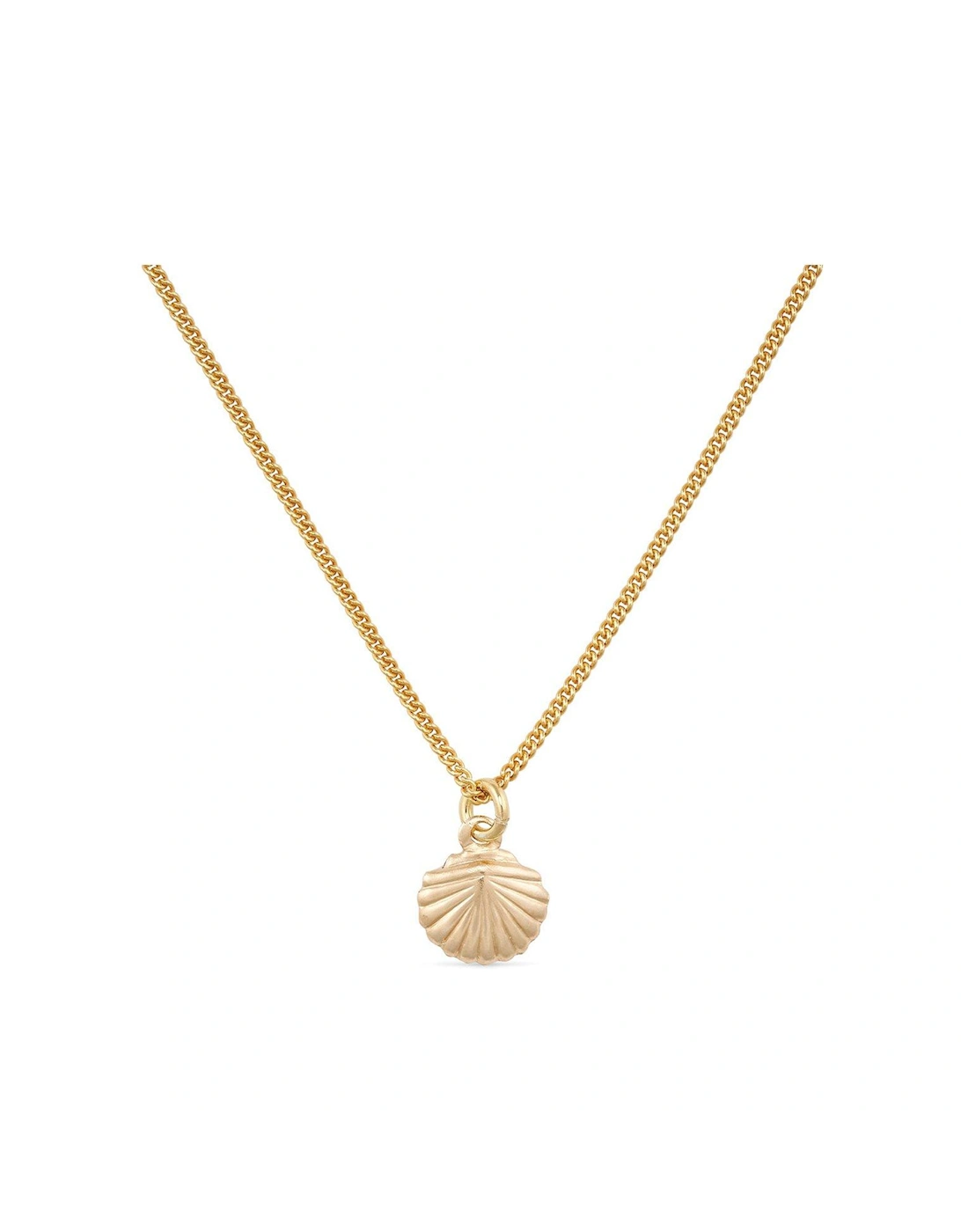 Dainty 18K Gold Shell Clam Necklace, 2 of 1