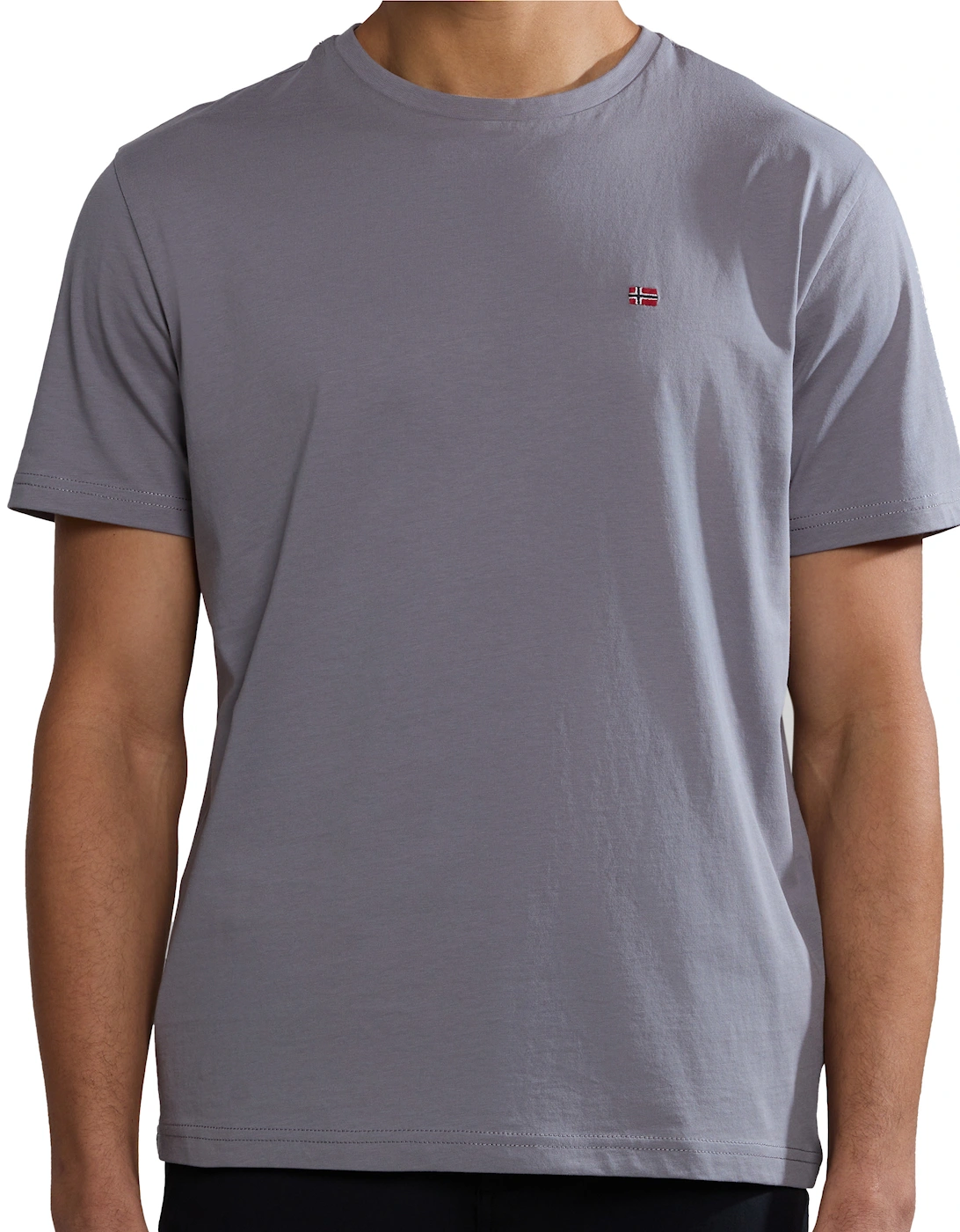 Mens Salis Sum T-Shirt (Medium Grey)