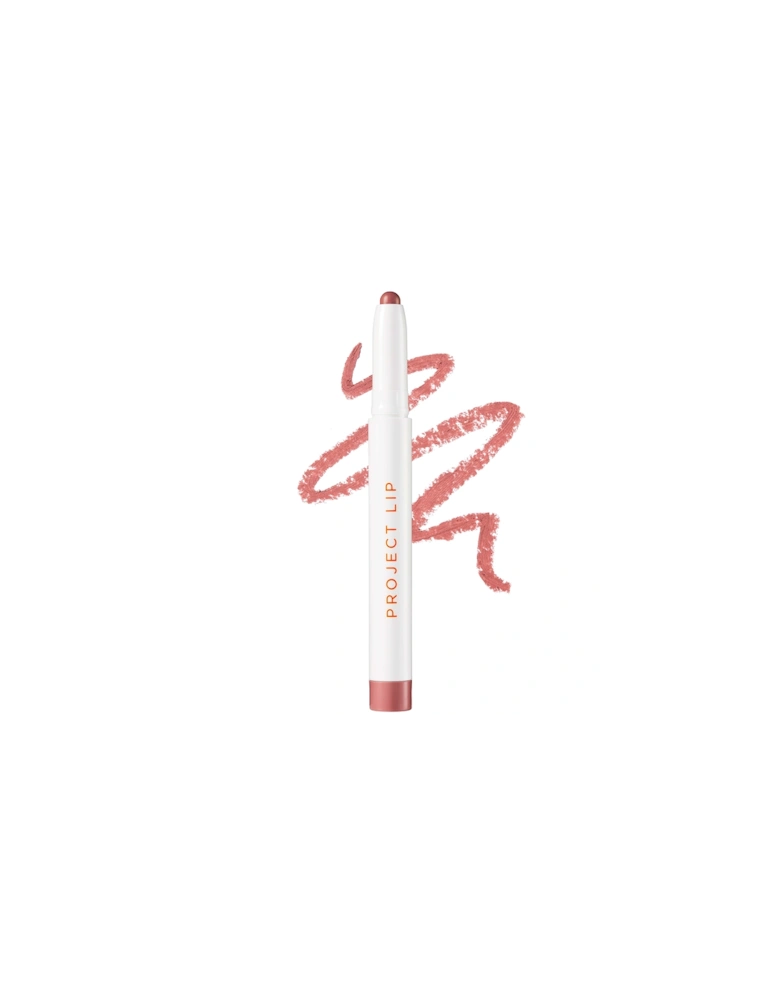Plump and Fill Lip Liner - Play