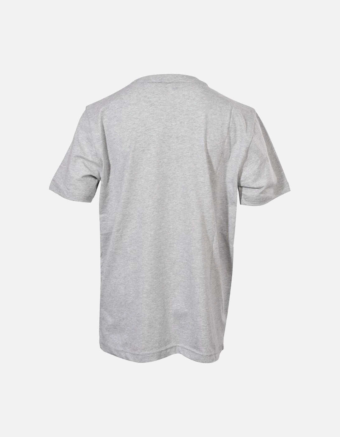 Boys Varsity Logo T-Shirt, Grey Melange