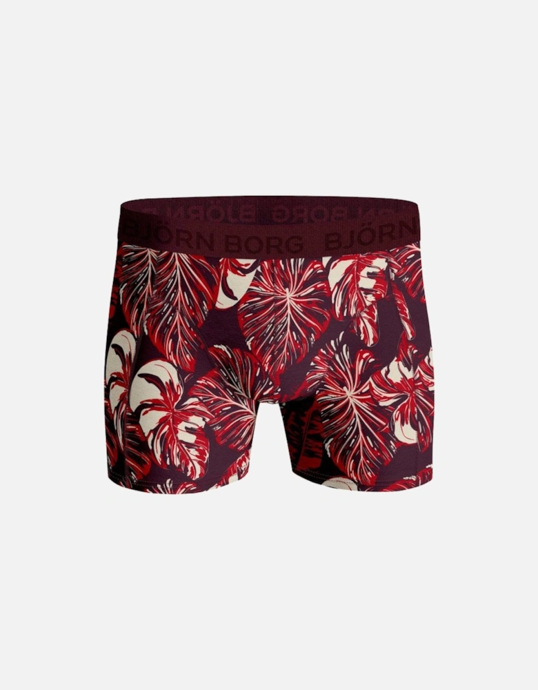 3-Pack Leafy Contrast Logo Boys Boxer Trunks, Burgundy/blue