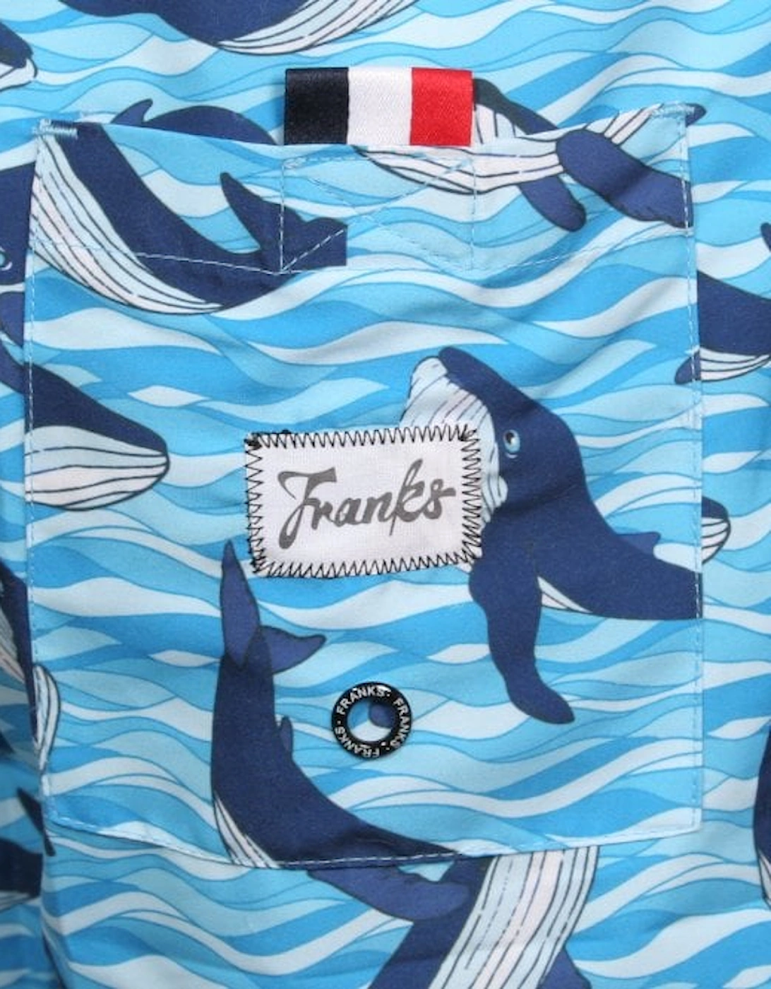 Antartic Orca Print Swim Shorts, Antarctic Blue