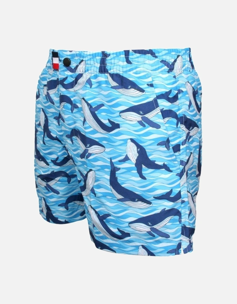 Antartic Orca Print Swim Shorts, Antarctic Blue