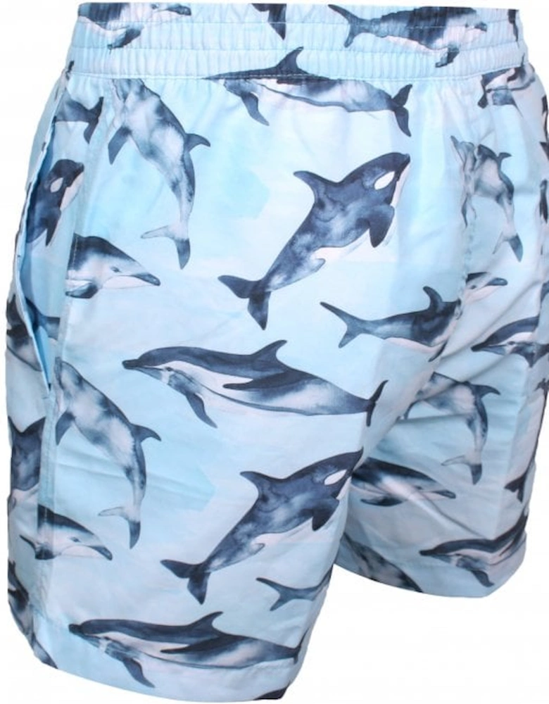 Flipper Print Swim Shorts, Sky Blue