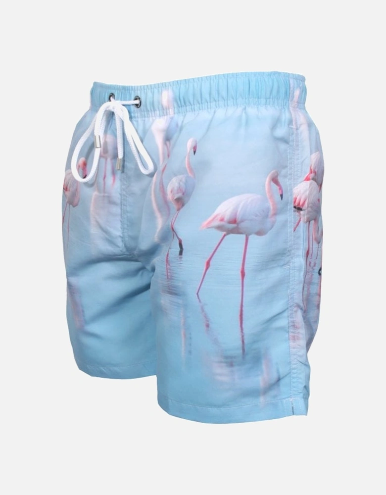 Lauderdale Flamingoes Photographic Print Swim Shorts, Blue