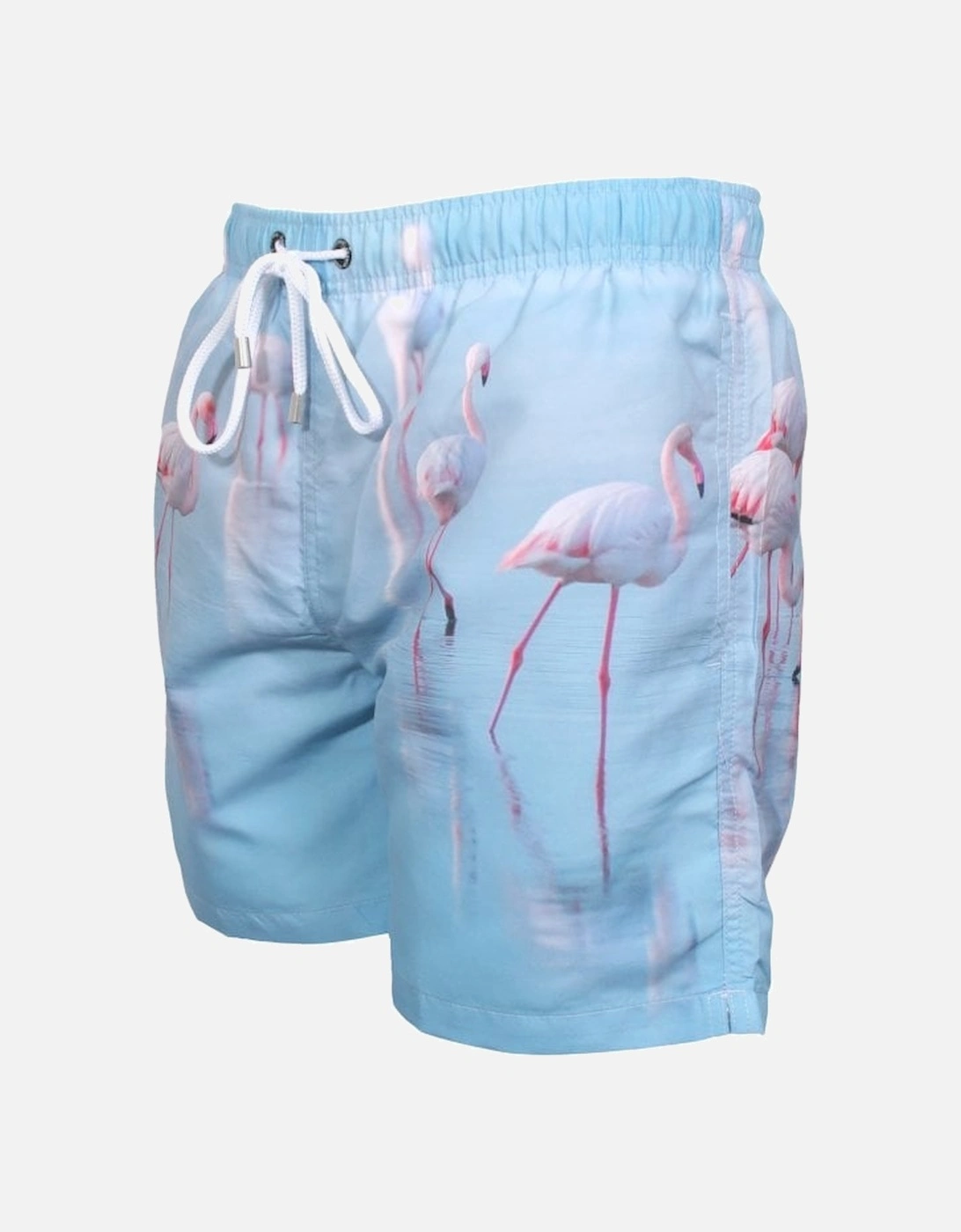 Lauderdale Flamingoes Photographic Print Swim Shorts, Blue