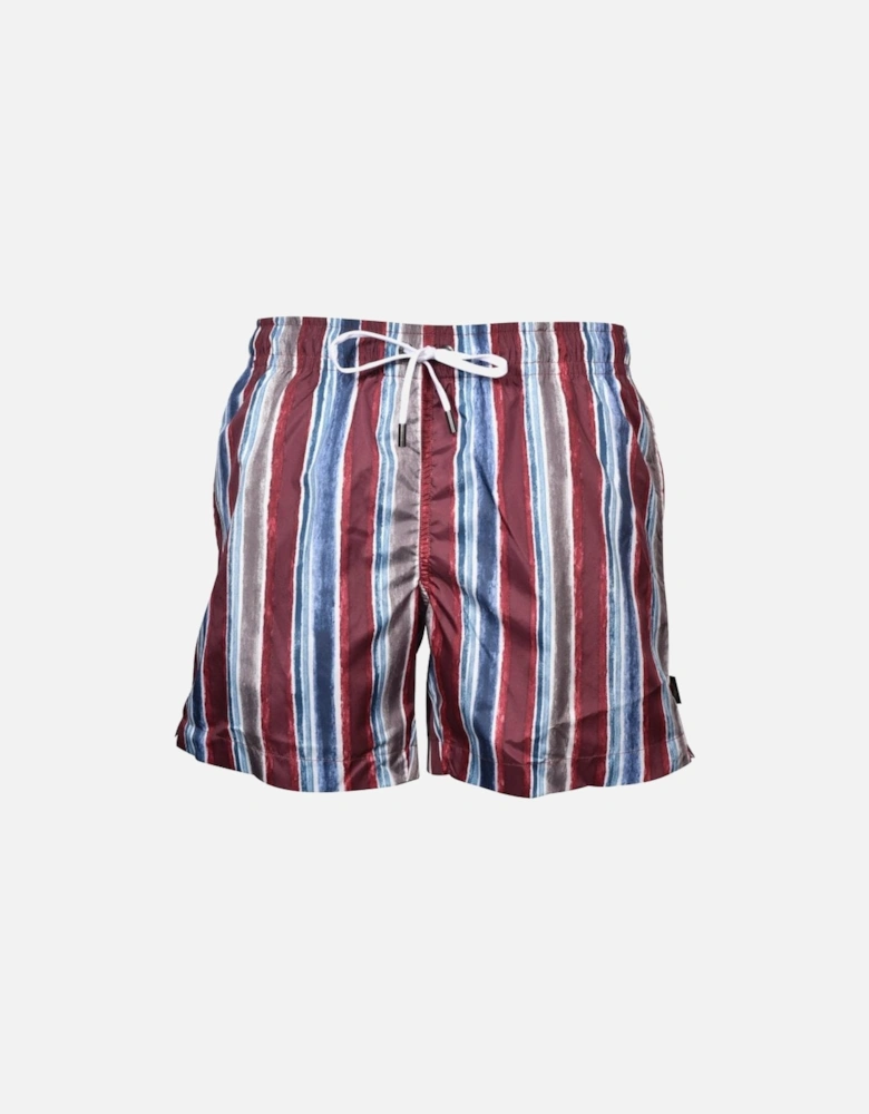Coloured Stripes Swim Shorts, Berry