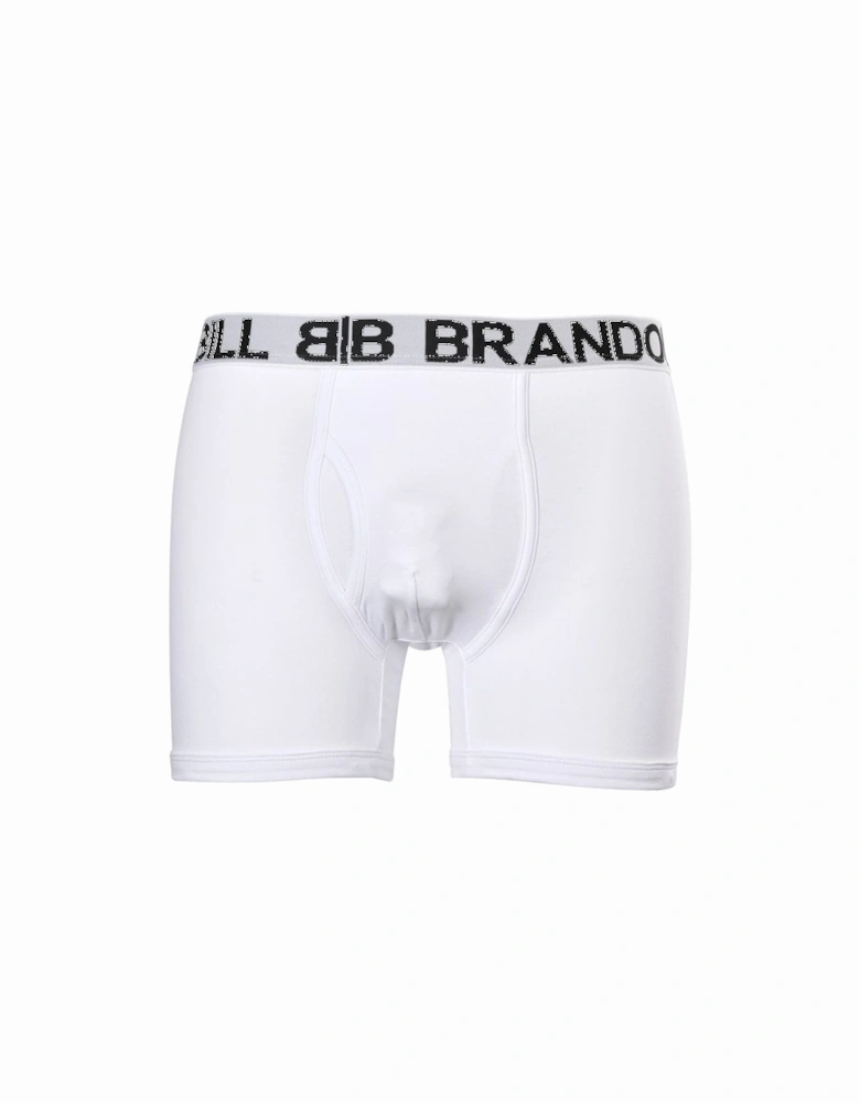 Contrasting Logo Waistband Boxer Brief, White