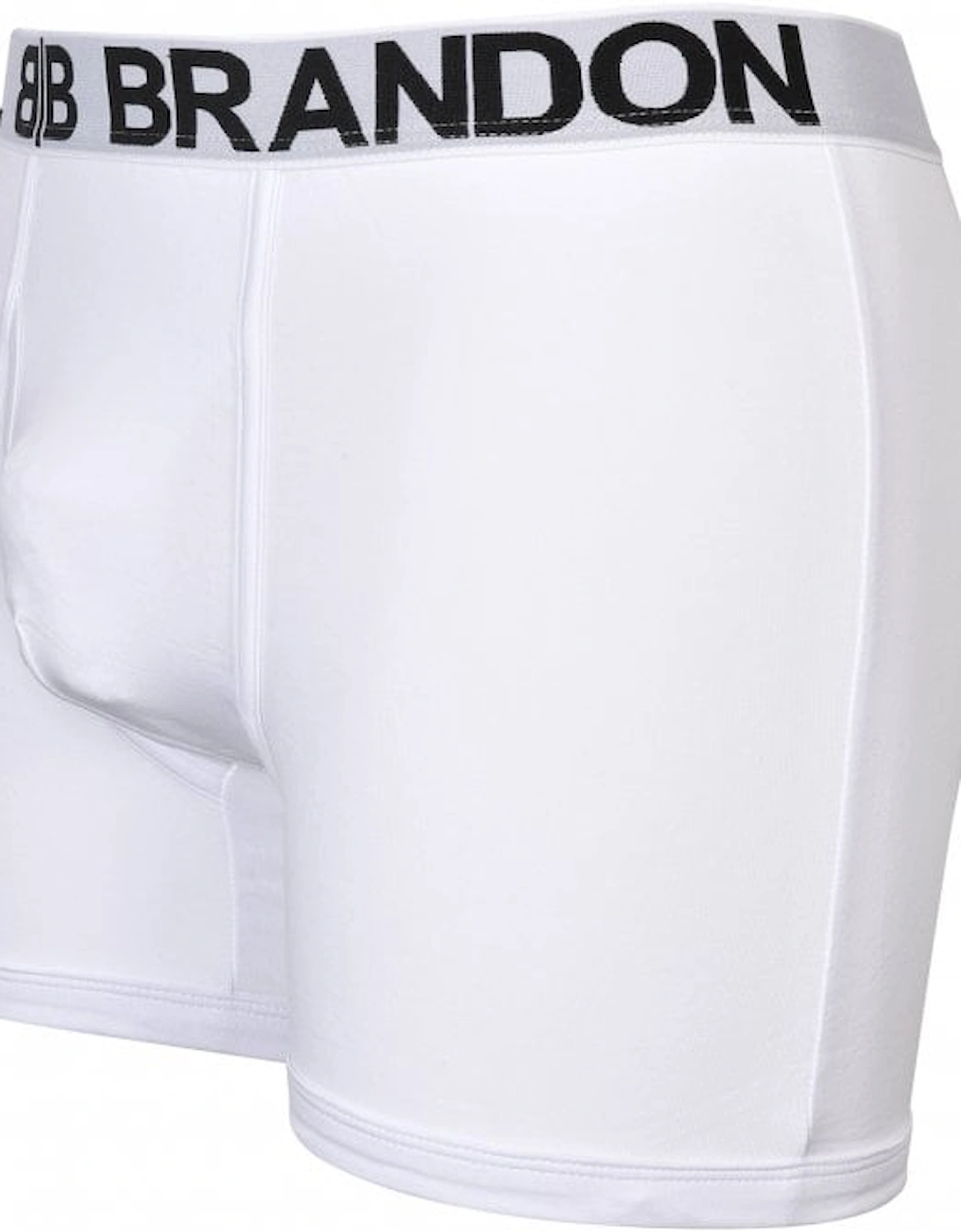 Contrasting Logo Waistband Boxer Brief, White