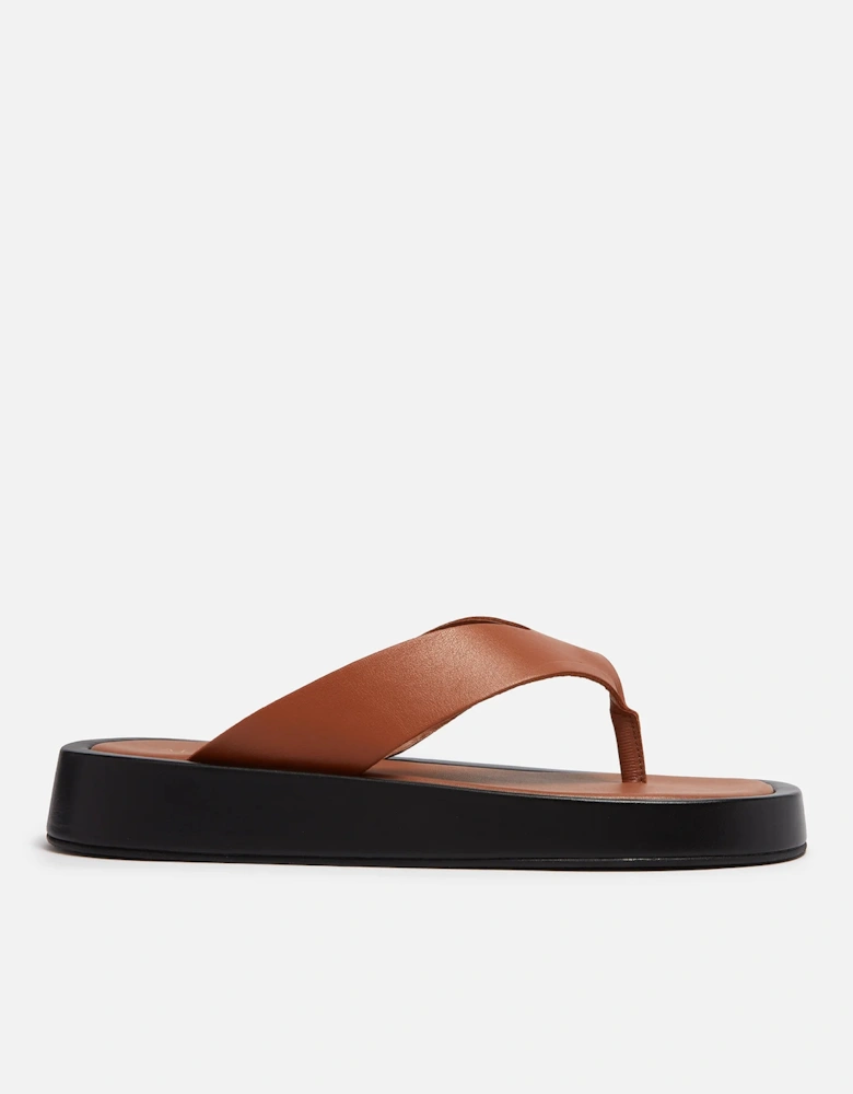 Women's Overcast Leather Sandals - - Home - Women's Shoes - Women's Sandals - Women's Overcast Leather Sandals